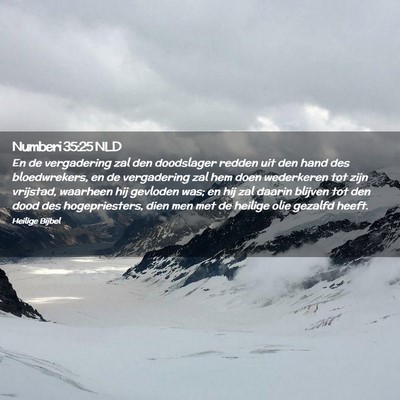 Picture 02 - Numberi 35:25 NLD - En de vergadering zal den doodslager redden uit - Bible Verse Picture