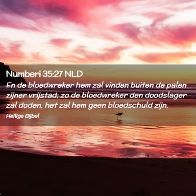 Picture 02 - Numberi 35:27 NLD - En de bloedwreker hem zal vinden buiten de palen - Bible Verse Picture