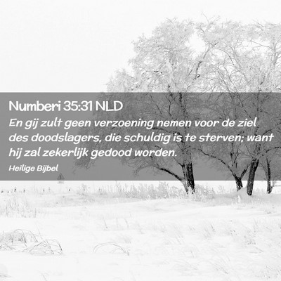 Picture 02 - Numberi 35:31 NLD - En gij zult geen verzoening nemen voor de ziel - Bible Verse Picture