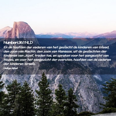Picture 02 - Numberi 36:1 NLD - En de hoofden der vaderen van het geslacht de - Bible Verse Picture