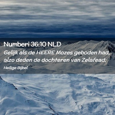 Picture 02 - Numberi 36:10 NLD - Gelijk als de HEERE Mozes geboden had, alzo deden - Bible Verse Picture
