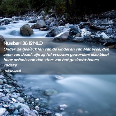 Picture 02 - Numberi 36:12 NLD - Onder de geslachten van de kinderen van Manasse, - Bible Verse Picture