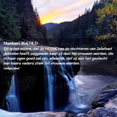 Picture 02 - Numberi 36:6 NLD - Dit is het woord, dat de HEERE van de dochteren - Bible Verse Picture