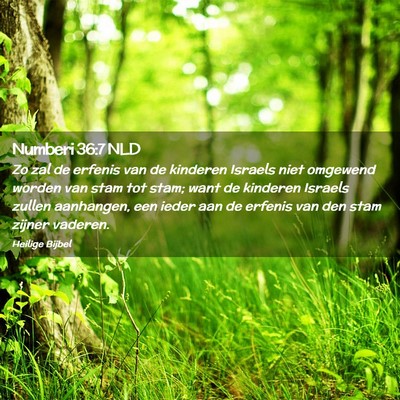 Picture 02 - Numberi 36:7 NLD - Zo zal de erfenis van de kinderen Israels niet - Bible Verse Picture