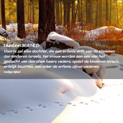 Picture 02 - Numberi 36:8 NLD - Voorts zal elke dochter, die een erfenis erft, - Bible Verse Picture