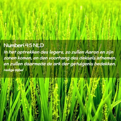 Picture 02 - Numberi 4:5 NLD - In het optrekken des legers, zo zullen Aaron en - Bible Verse Picture