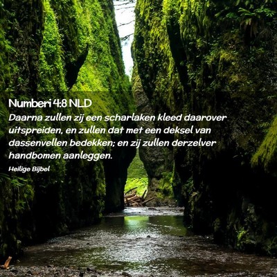 Picture 02 - Numberi 4:8 NLD - Daarna zullen zij een scharlaken kleed daarover - Bible Verse Picture