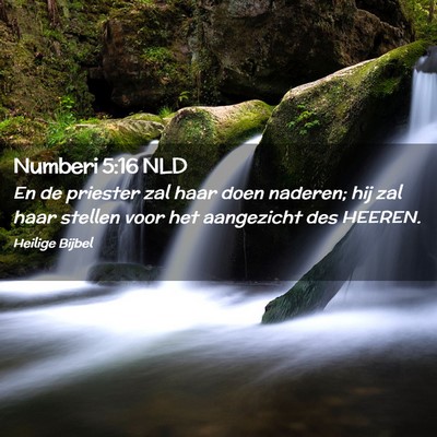 Picture 02 - Numberi 5:16 NLD - En de priester zal haar doen naderen; hij zal - Bible Verse Picture