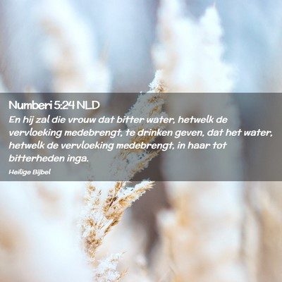 Picture 02 - Numberi 5:24 NLD - En hij zal die vrouw dat bitter water, hetwelk de - Bible Verse Picture