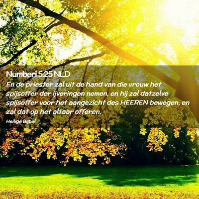 Picture 02 - Numberi 5:25 NLD - En de priester zal uit de hand van die vrouw het - Bible Verse Picture