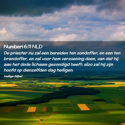 Picture 02 - Numberi 6:11 NLD - De priester nu zal een bereiden ten zondoffer, en - Bible Verse Picture