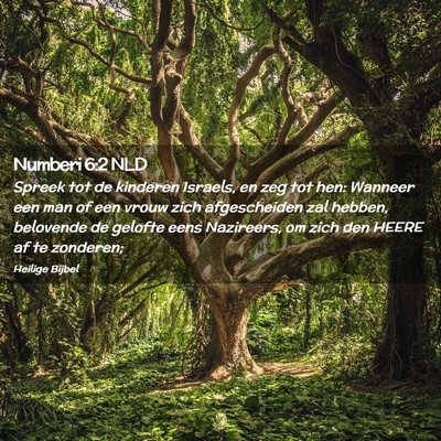 Picture 02 - Numberi 6:2 NLD - Spreek tot de kinderen Israels, en zeg tot hen: - Bible Verse Picture