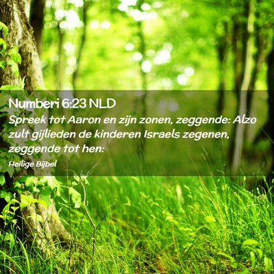 Picture 02 - Numberi 6:23 NLD - Spreek tot Aaron en zijn zonen, zeggende: Alzo - Bible Verse Picture