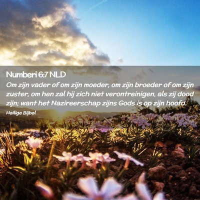 Picture 02 - Numberi 6:7 NLD - Om zijn vader of om zijn moeder, om zijn broeder - Bible Verse Picture