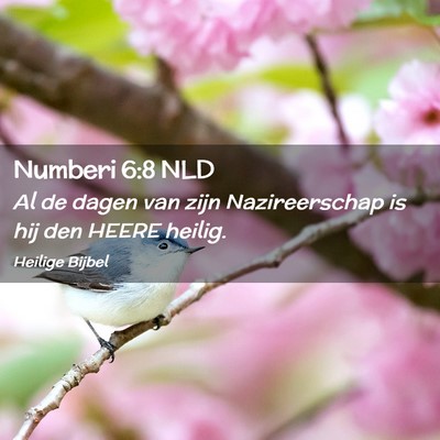 Picture 02 - Numberi 6:8 NLD - Al de dagen van zijn Nazireerschap is hij den - Bible Verse Picture
