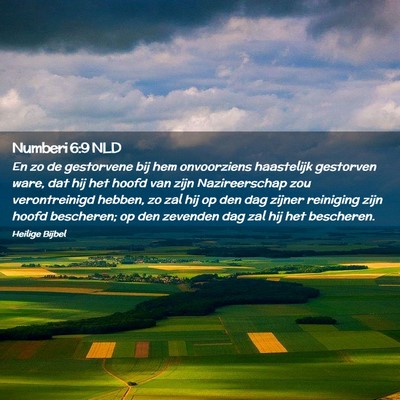Picture 02 - Numberi 6:9 NLD - En zo de gestorvene bij hem onvoorziens - Bible Verse Picture
