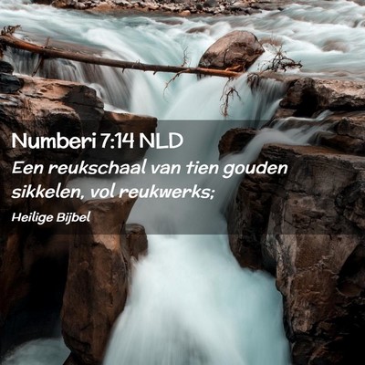 Picture 02 - Numberi 7:14 NLD - Een reukschaal van tien gouden sikkelen, vol - Bible Verse Picture