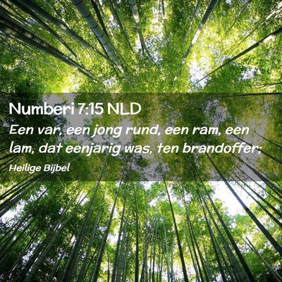 Picture 02 - Numberi 7:15 NLD - Een var, een jong rund, een ram, een lam, dat - Bible Verse Picture