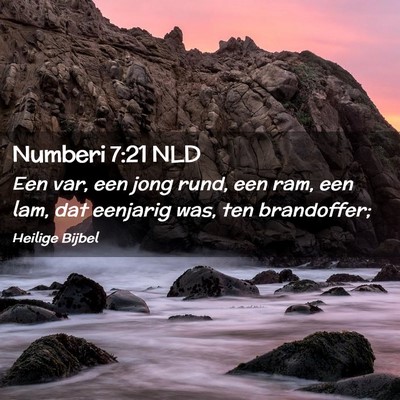 Picture 02 - Numberi 7:21 NLD - Een var, een jong rund, een ram, een lam, dat - Bible Verse Picture