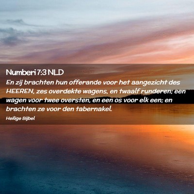 Picture 02 - Numberi 7:3 NLD - En zij brachten hun offerande voor het aangezicht - Bible Verse Picture