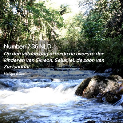 Picture 02 - Numberi 7:36 NLD - Op den vijfden dag offerde de overste der - Bible Verse Picture