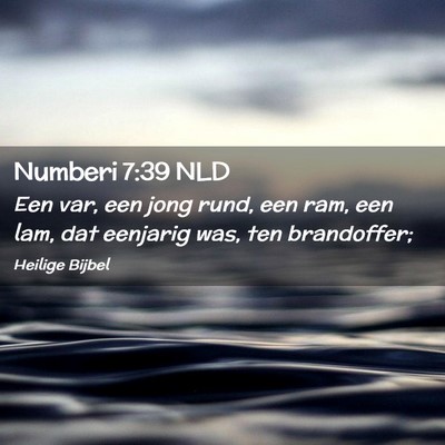 Picture 02 - Numberi 7:39 NLD - Een var, een jong rund, een ram, een lam, dat - Bible Verse Picture