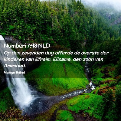 Picture 02 - Numberi 7:48 NLD - Op den zevenden dag offerde de overste der - Bible Verse Picture