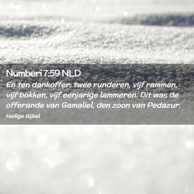 Picture 02 - Numberi 7:59 NLD - En ten dankoffer: twee runderen, vijf rammen, - Bible Verse Picture