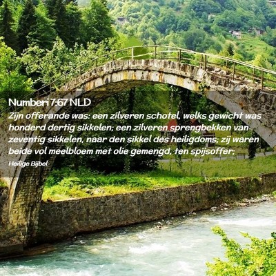 Picture 02 - Numberi 7:67 NLD - Zijn offerande was: een zilveren schotel, welks - Bible Verse Picture