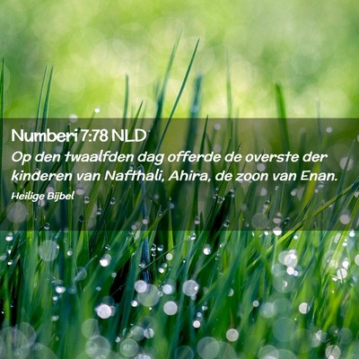 Picture 02 - Numberi 7:78 NLD - Op den twaalfden dag offerde de overste der - Bible Verse Picture