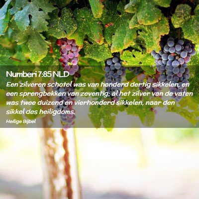 Picture 02 - Numberi 7:85 NLD - Een zilveren schotel was van honderd dertig - Bible Verse Picture
