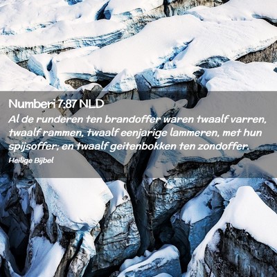 Picture 02 - Numberi 7:87 NLD - Al de runderen ten brandoffer waren twaalf - Bible Verse Picture