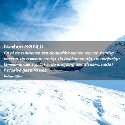 Picture 02 - Numberi 7:88 NLD - En al de runderen ten dankoffer waren vier en - Bible Verse Picture
