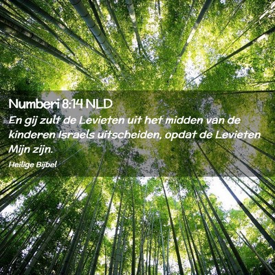 Picture 02 - Numberi 8:14 NLD - En gij zult de Levieten uit het midden van de - Bible Verse Picture