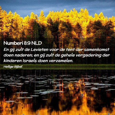 Picture 02 - Numberi 8:9 NLD - En gij zult de Levieten voor de tent der - Bible Verse Picture
