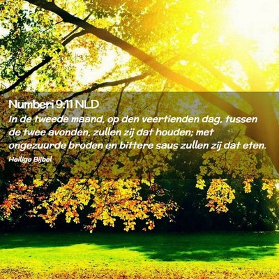 Picture 02 - Numberi 9:11 NLD - In de tweede maand, op den veertienden dag, - Bible Verse Picture