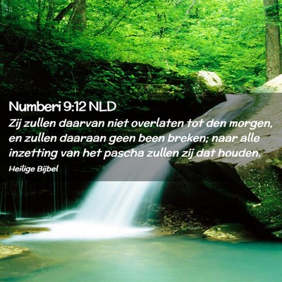 Picture 02 - Numberi 9:12 NLD - Zij zullen daarvan niet overlaten tot den morgen, - Bible Verse Picture