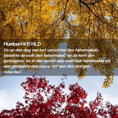 Picture 02 - Numberi 9:15 NLD - En op den dag van het oprichten des tabernakels - Bible Verse Picture