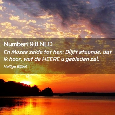 Picture 02 - Numberi 9:8 NLD - En Mozes zeide tot hen: Blijft staande, dat ik - Bible Verse Picture