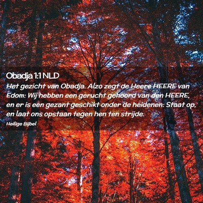 Picture 02 - Obadja 1:1 NLD - Het gezicht van Obadja. Alzo zegt de Heere HEERE - Bible Verse Picture