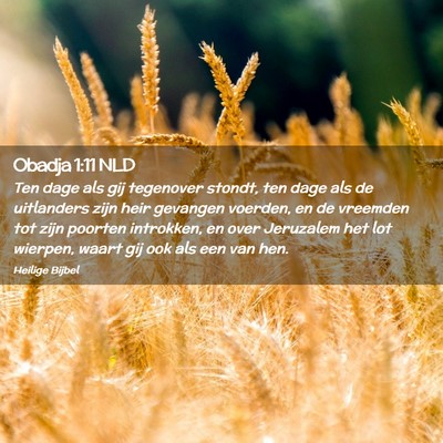 Picture 02 - Obadja 1:11 NLD - Ten dage als gij tegenover stondt, ten dage als - Bible Verse Picture