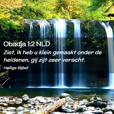 Picture 02 - Obadja 1:2 NLD - Ziet, Ik heb u klein gemaakt onder de heidenen, - Bible Verse Picture