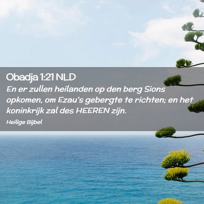 Picture 02 - Obadja 1:21 NLD - En er zullen heilanden op den berg Sions opkomen, - Bible Verse Picture