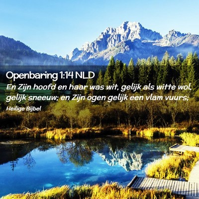 Picture 02 - Openbaring 1:14 NLD - En Zijn hoofd en haar was wit, gelijk als witte - Bible Verse Picture