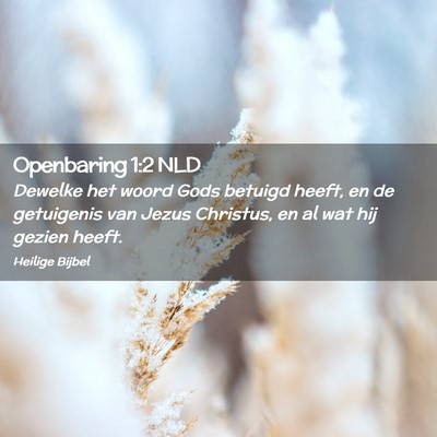 Picture 02 - Openbaring 1:2 NLD - Dewelke het woord Gods betuigd heeft, en de - Bible Verse Picture
