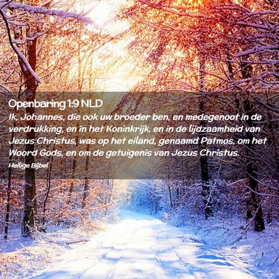 Picture 02 - Openbaring 1:9 NLD - Ik, Johannes, die ook uw broeder ben, en - Bible Verse Picture