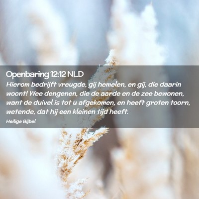 Picture 02 - Openbaring 12:12 NLD - Hierom bedrijft vreugde, gij hemelen, en gij, die - Bible Verse Picture