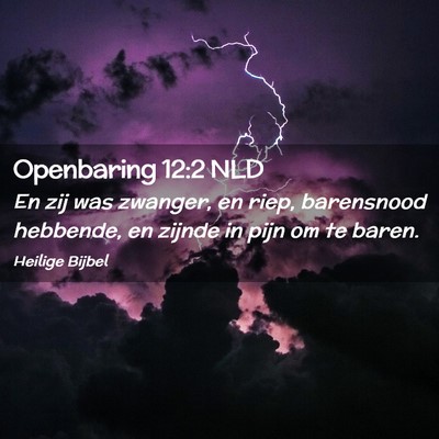 Picture 02 - Openbaring 12:2 NLD - En zij was zwanger, en riep, barensnood hebbende, - Bible Verse Picture