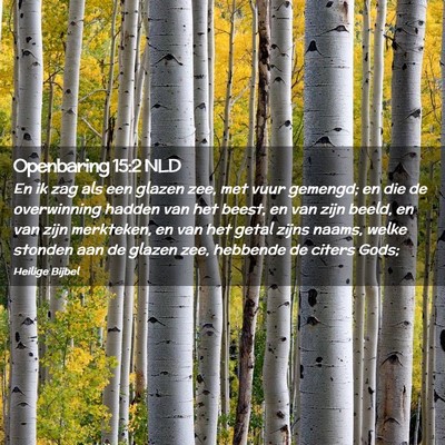 Picture 02 - Openbaring 15:2 NLD - En ik zag als een glazen zee, met vuur gemengd; - Bible Verse Picture