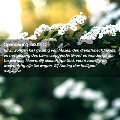 Picture 02 - Openbaring 15:3 NLD - En zij zongen het gezang van Mozes, den - Bible Verse Picture